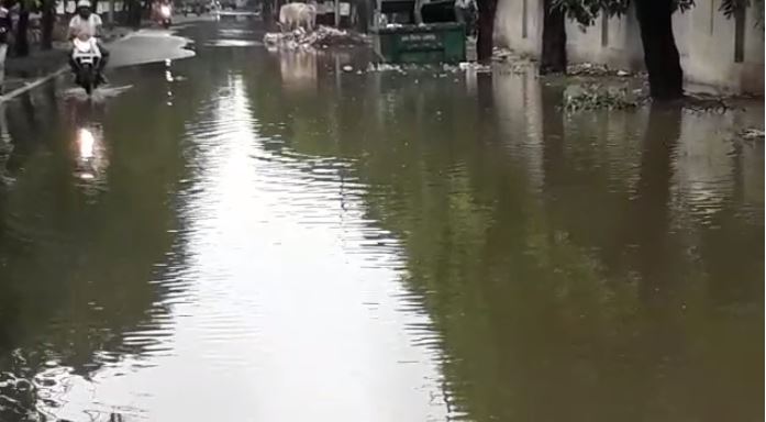 सड़क या तालाब? 