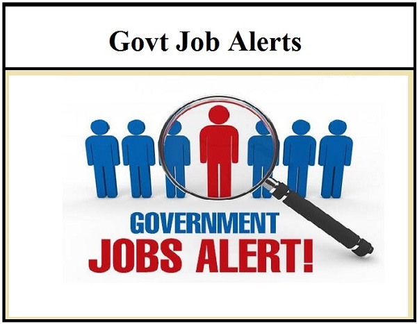 सरकारी नौकरी का सुनहरा मौका (फाइल फोटो)