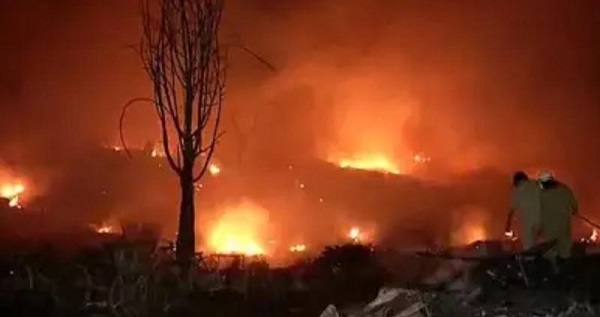 मैक्सिको के जंगलों में लगी भीषण आग (फाइल फोटो )