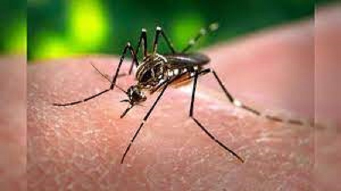 बस्तर जिले में डेंगू के पीड़ित चार लोगों की मौत