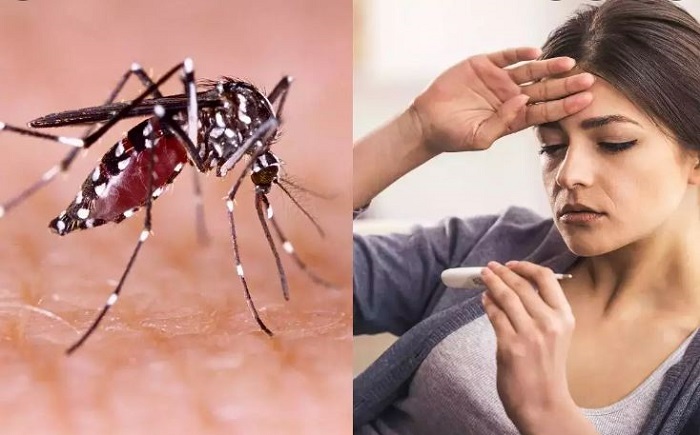 दिल्ली में तेजी से बढ़ रहे डेंगू के मामे