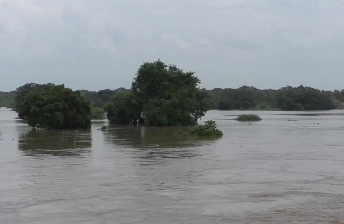 चंबल नदी में जल स्तर बढ़ने से बाढ़ की स्थिति