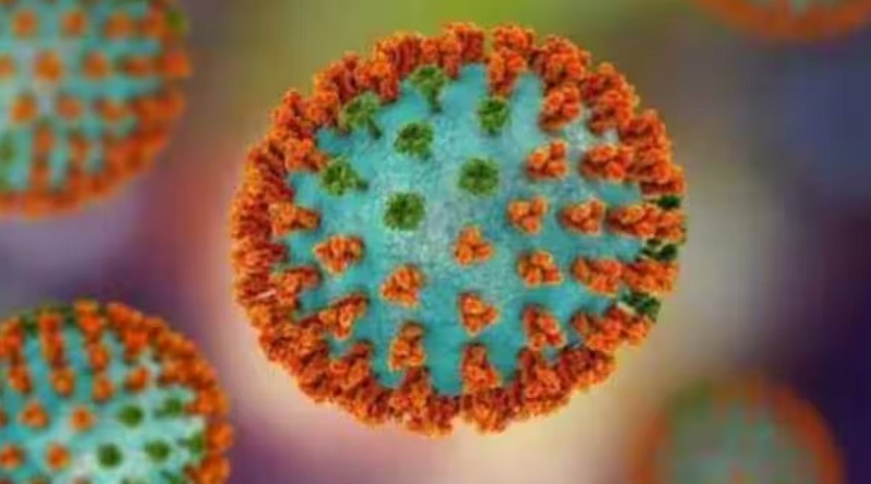 एच3एन2 इन्फ्लूएंजा वायरस का बढ़ा प्रकोप