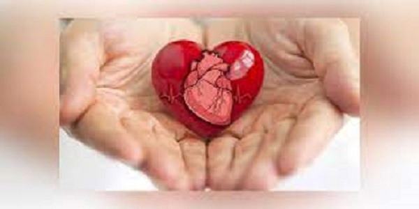 ह्रदय की सेहत सुधारने के लिए भोजन की शक्ति के इस्तेमाल