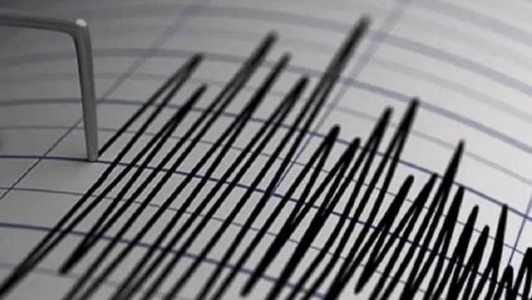 पाकिस्तान में भूकंप के झटके महसूस किए गए