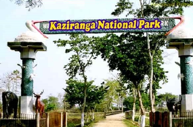 असम के काजीरंगा राष्ट्रीय उद्यान