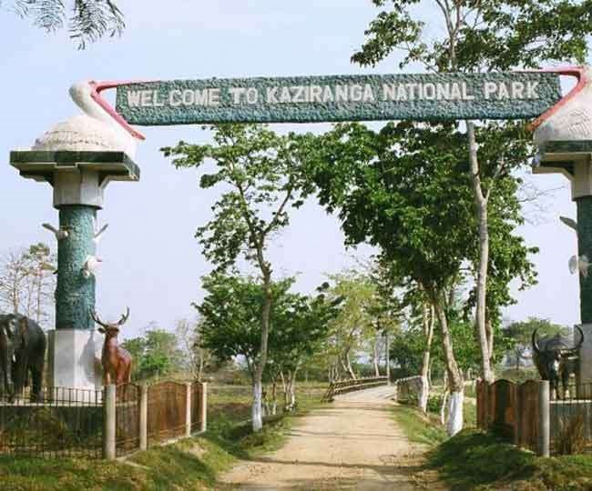 असम का काजीरंगा राष्ट्रीय उद्यान