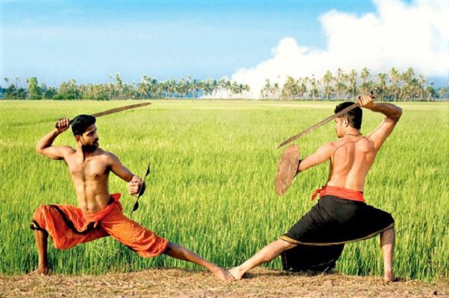 भारतीय मार्शट आर्ट