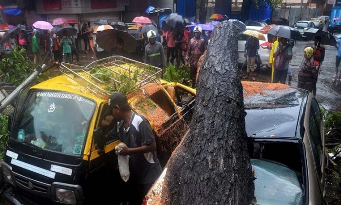 बारिश के बीच पेड़ गिरने से एक व्यक्ति की मौत
