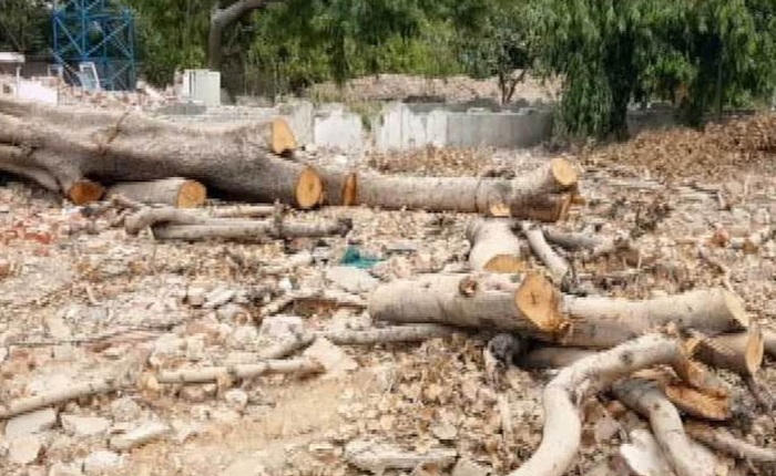 पेड़ कटाई की अनुमति देने के अधिकार संबंधी विधेयक पारित