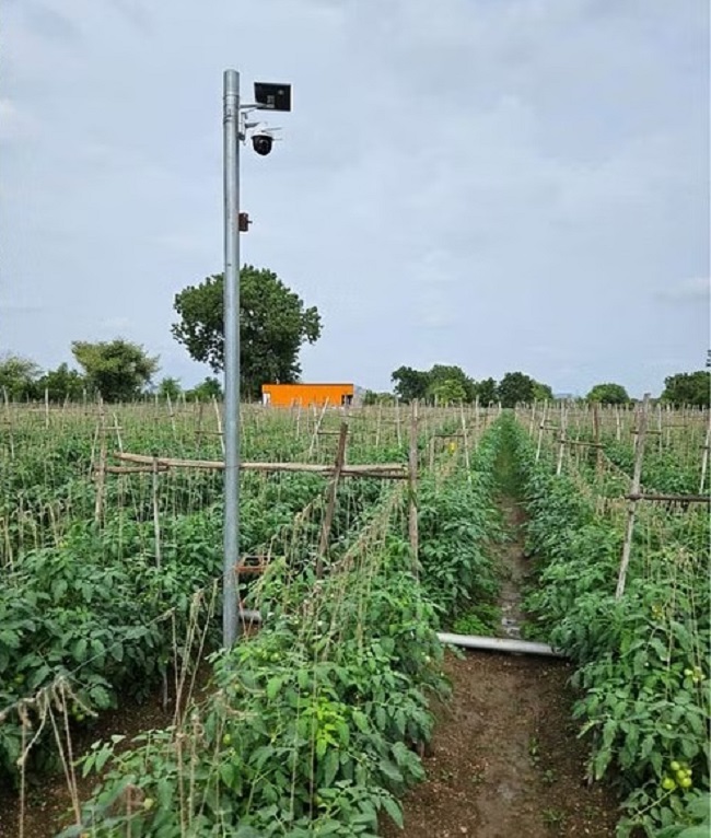 किसान ने खेत में लगाया सीसीटीवी कैमरा