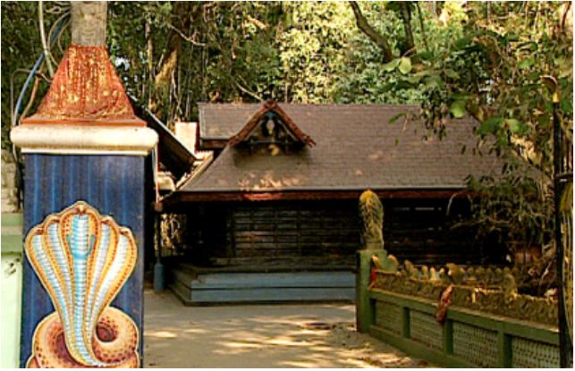 केरल के मन्नारसाला का प्रसिद्ध नागराज मंदिर