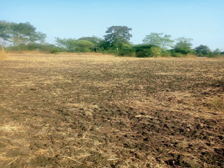 ओमेक्स समूह ने लुधियाना में 220 करोड़ रुपये में पांच एकड़ जमीन का अधिग्रहण किया