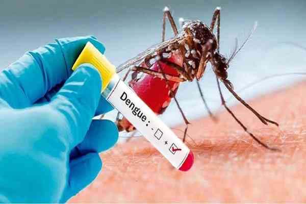 झारखंड में डेंगू के 70 नये मामले सामने आए