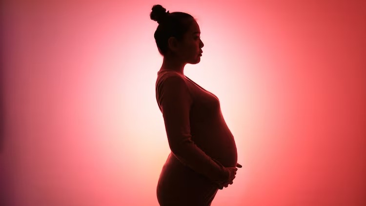 गर्भावस्था में कैसे सेक्स हार्मोन्स मस्तिष्क को मातृत्व के लिए तैयार करते हैं