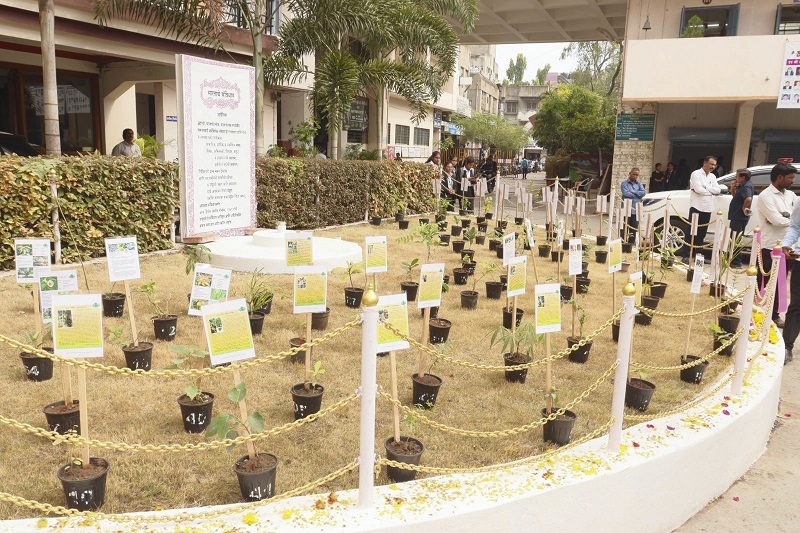 महाराष्ट्र में छात्रों ने पेड़ों की लाइब्रेरी स्थापित की