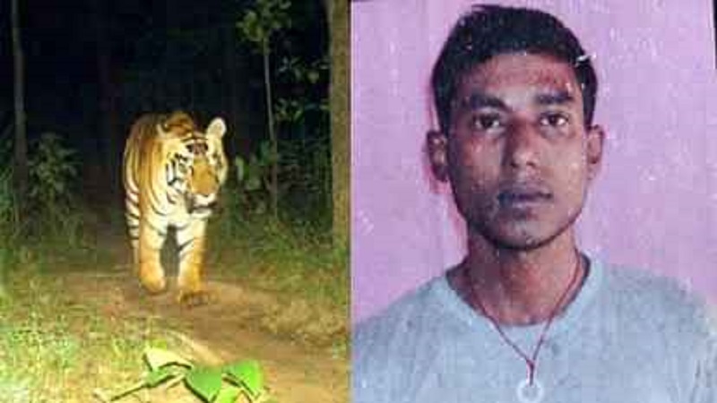 पीलीभीत में बाघ के हमले में किसान की मौत