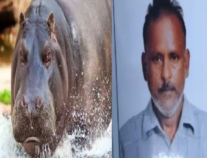 दरियाई घोड़े के हमले में प्राणि उद्यान के कर्मी की मौत
