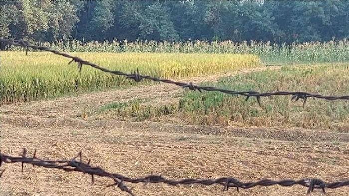 मथुरा में खेत की बाड़ में करंट से किसान की मौत (सांकेतिक तस्वीर)
