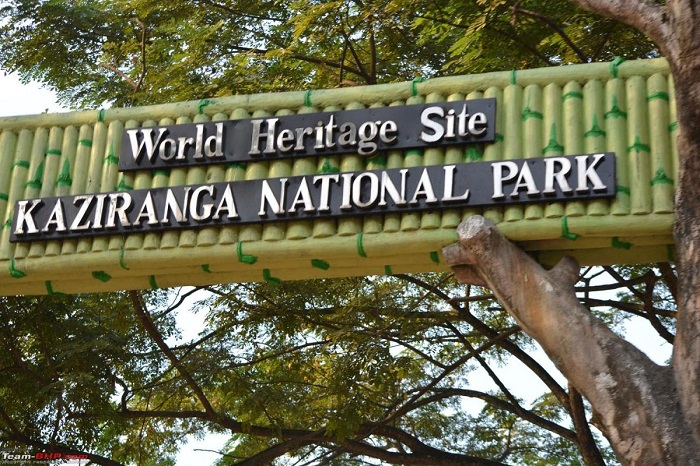 काजीरंगा राष्ट्रीय उद्यान