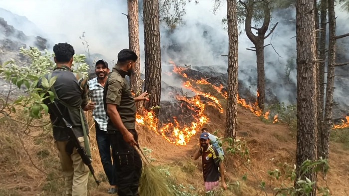 पुंछ जिले के वन में लगी भीषण आग