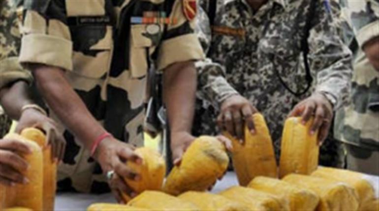 भारत-नेपाल सीमा से मादक पदार्थ जब्त