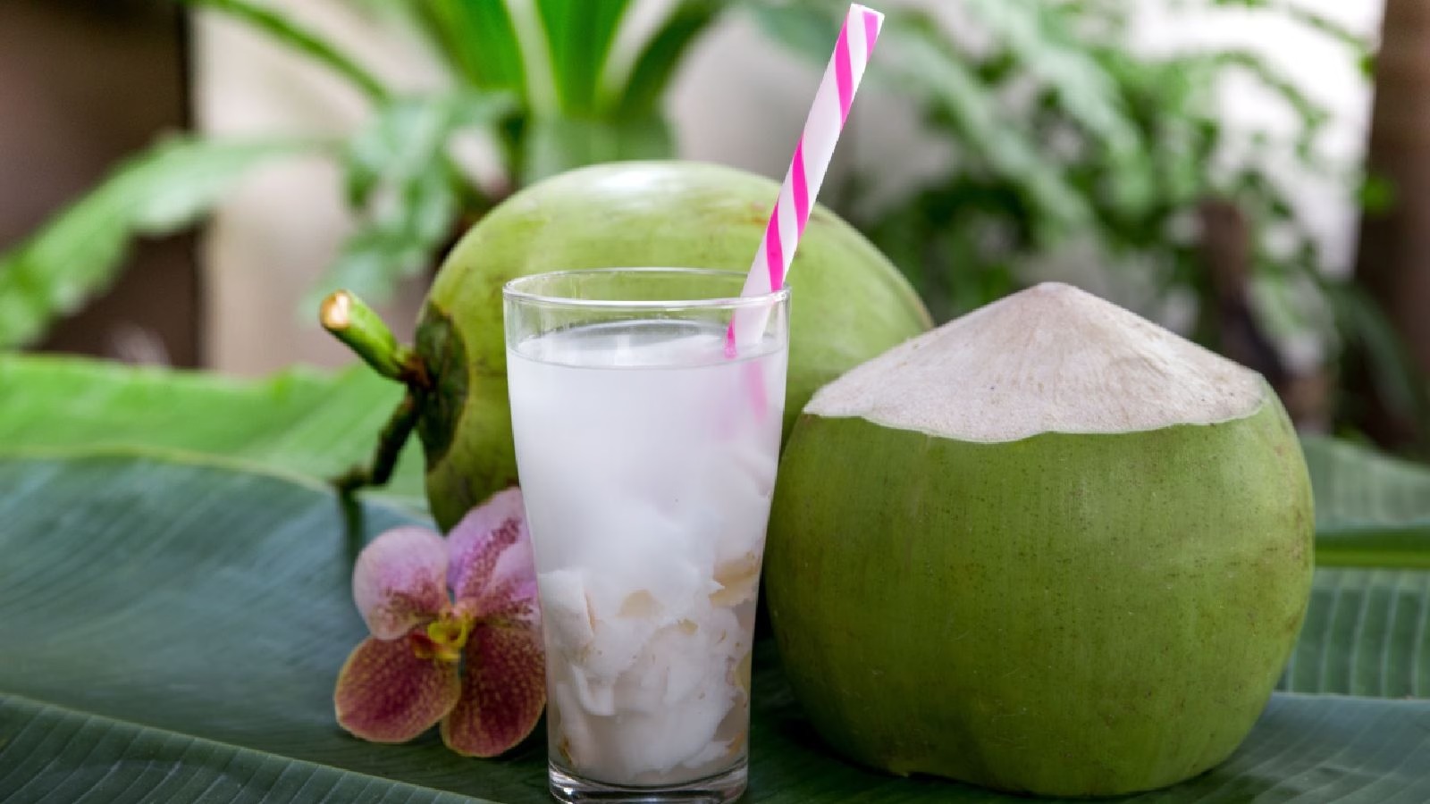 नारियल पानी से मिलेंगे ये फायदे